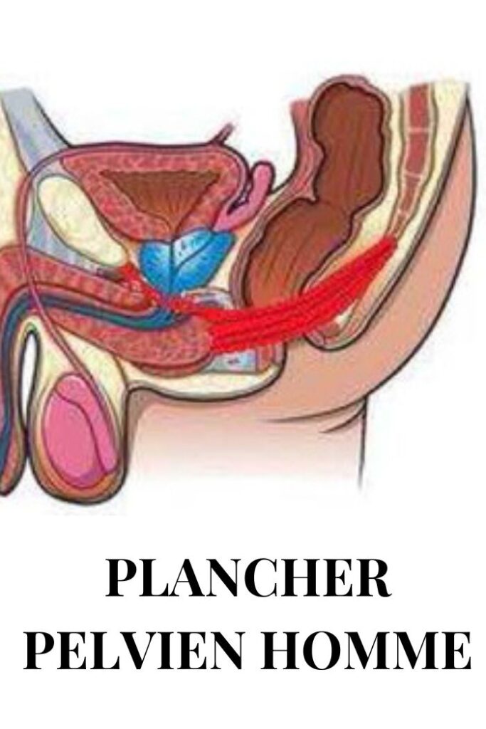 Renforcer notre plancher pelvien - périnée 3