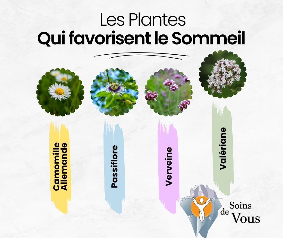 Troubles du sommeil: Naturopathie 10